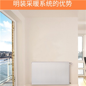 博世（BOSCH）壁挂炉散热片明装系统 全屋供暖方案