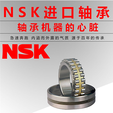 日本NSK 圆柱滚子轴承